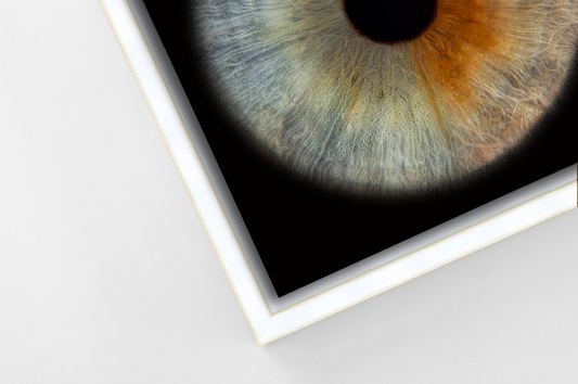 Aluminium Floating Framed White PANORAMIC Iris Wall Art
