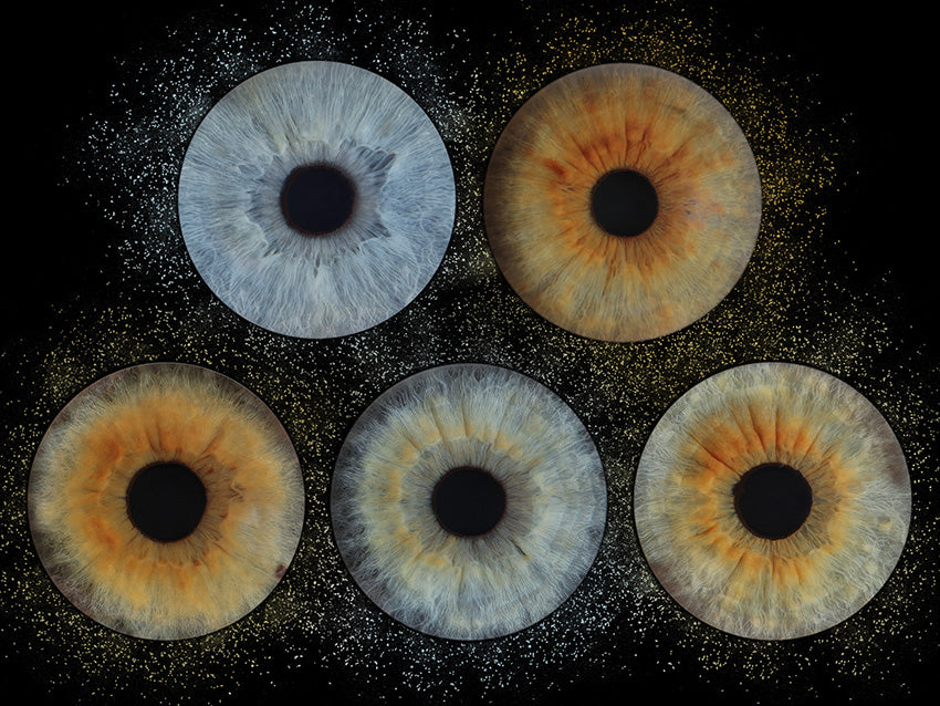 A4 (11.7 x 8.3 in) - Iris Photographic Prints