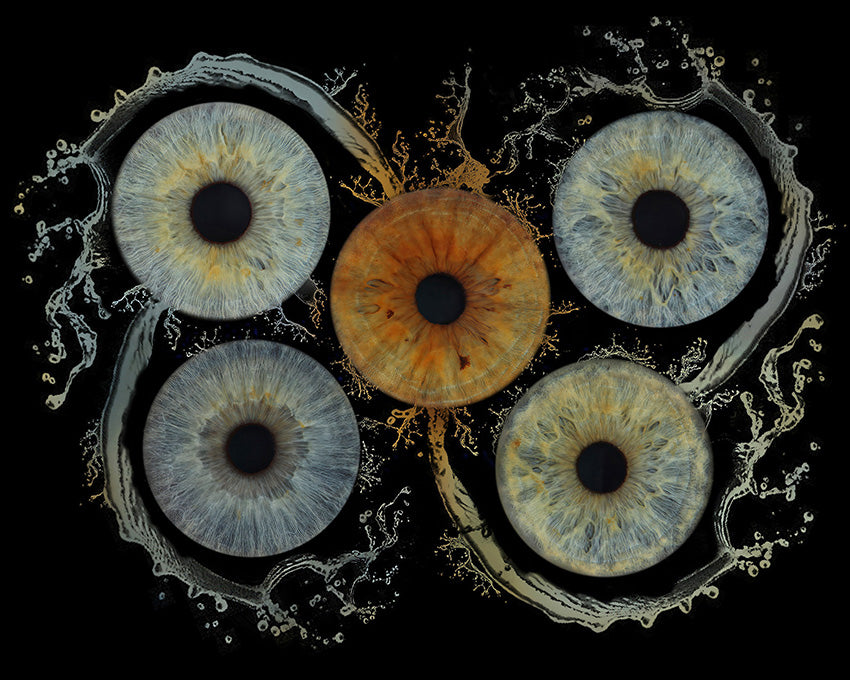 A4 (11.7 x 8.3 in) - Iris Photographic Prints