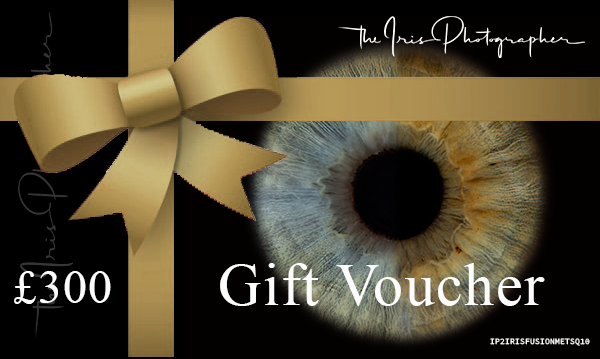 2IrisesFusionEffectMetallicPrint10x10