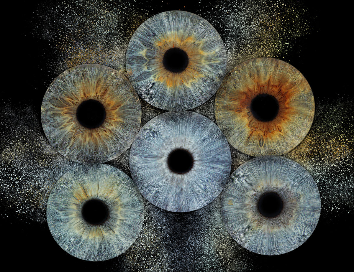 6 Iris Collision 1.jpg