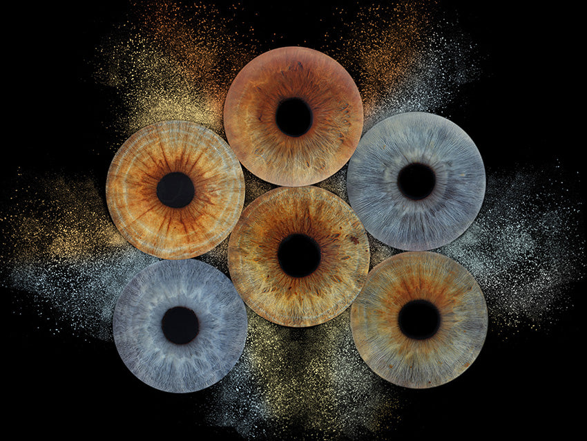 A4 (11.7 x 8.3 in) - Iris Photographic Prints