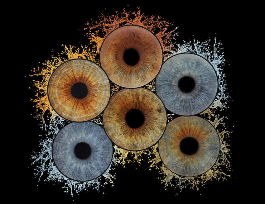 A4 (11.7 x 8.3 in) - Iris Photographic Prints