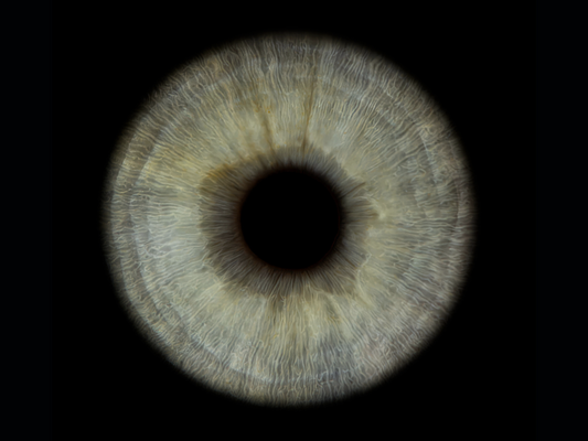 Metallic Round Iris Wall Art