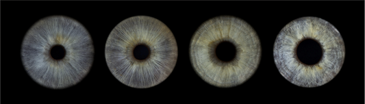 Acrylic Panoramic Iris Wall Art
