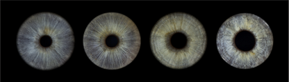Acrylic Panoramic Iris Wall Art Ratio 4:1