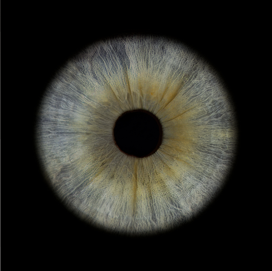 Acrylic Square Iris Wall Art