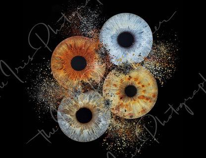 Acrylic Rectangle Iris Blocks