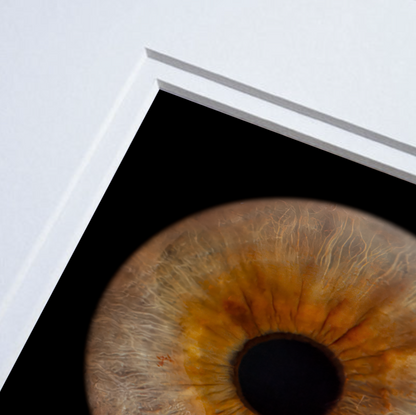 Contemporary Pale Grey Wooden PANORAMIC Framed Iris Wall Art Double Mount Card