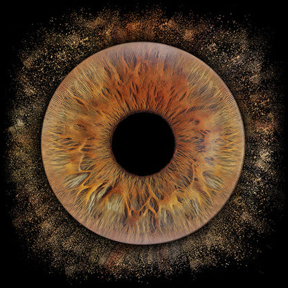 10 x 8 in - Iris Photographic Prints