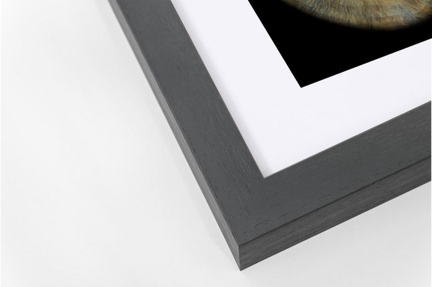 Contemporary Dark Grey Wooden SQUARE Framed Iris Wall Art Double Mount Card