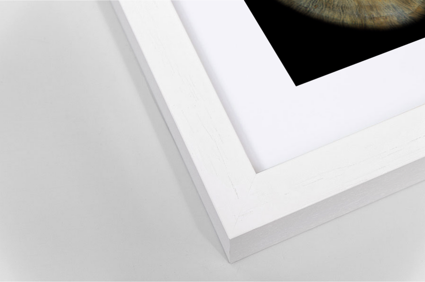 Contemporary White Wooden SQUARE Framed Iris Wall Art Double Mount Card