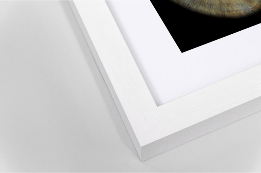 Contemporary White Wooden SQUARE Framed Iris Wall Art Double Mount Card