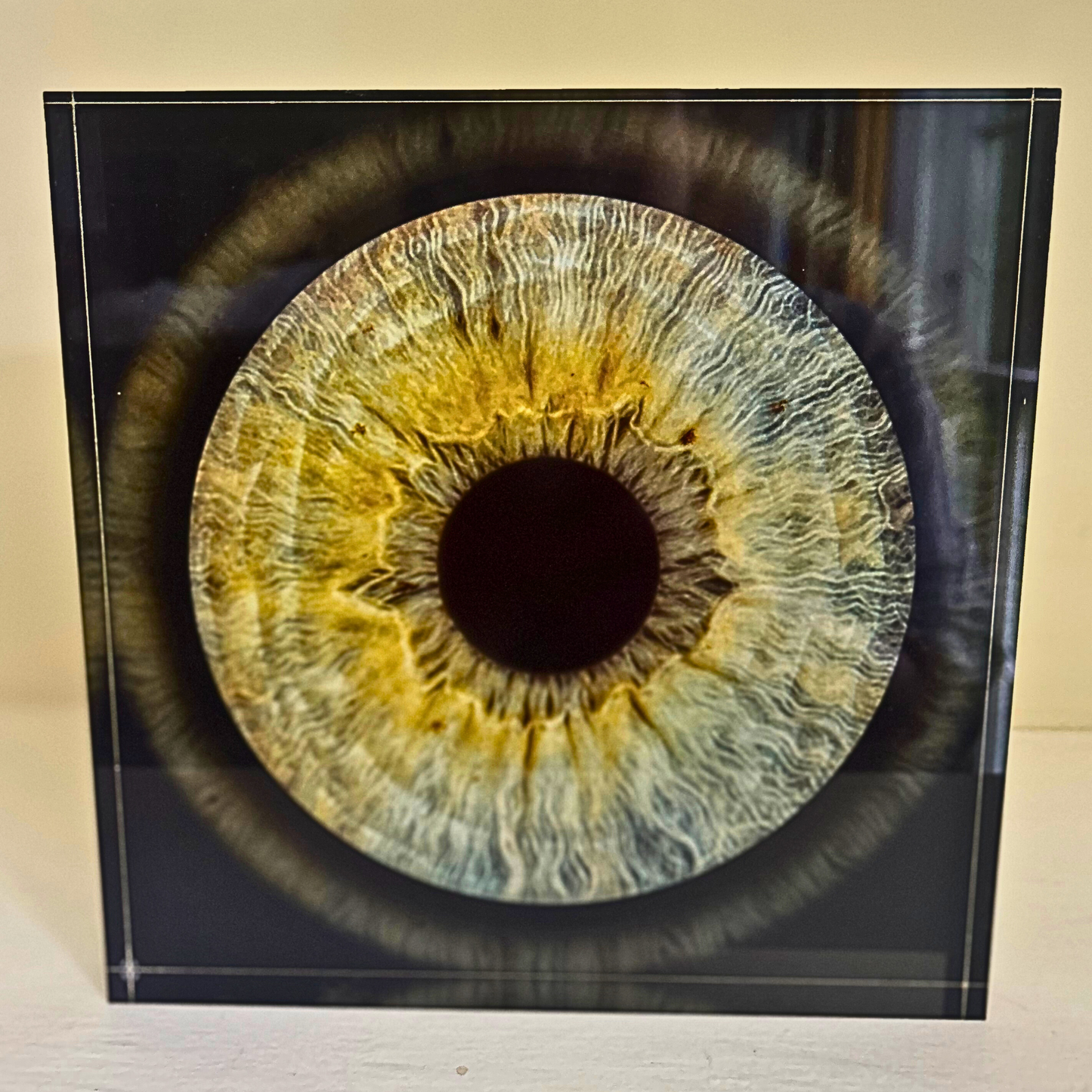 Acrylic Square Iris Blocks