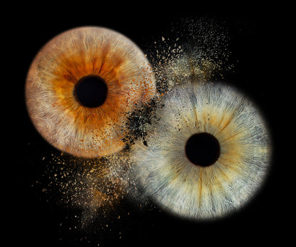 10 x 8 in - Iris Photographic Prints