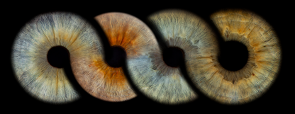 Metallic Round Iris Wall Art