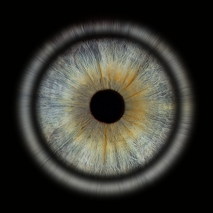 Acrylic Panoramic Iris Wall Art Ratio 4:1
