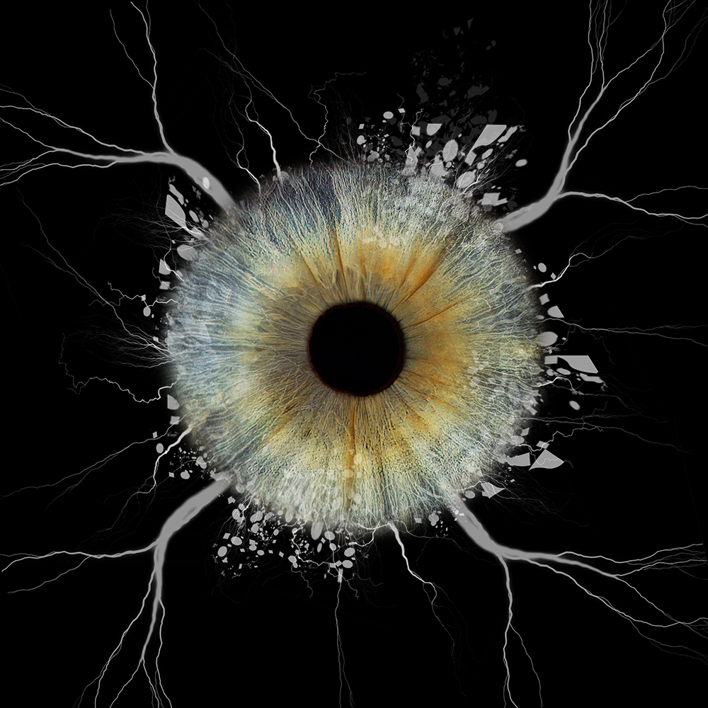 Aluminium Floating Framed Black PANORAMIC Iris Wall Art
