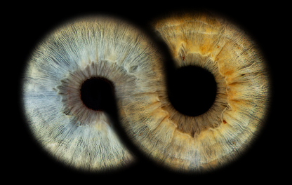 Art Panel PANORAMIC Iris Wall Art Ratio 4:1
