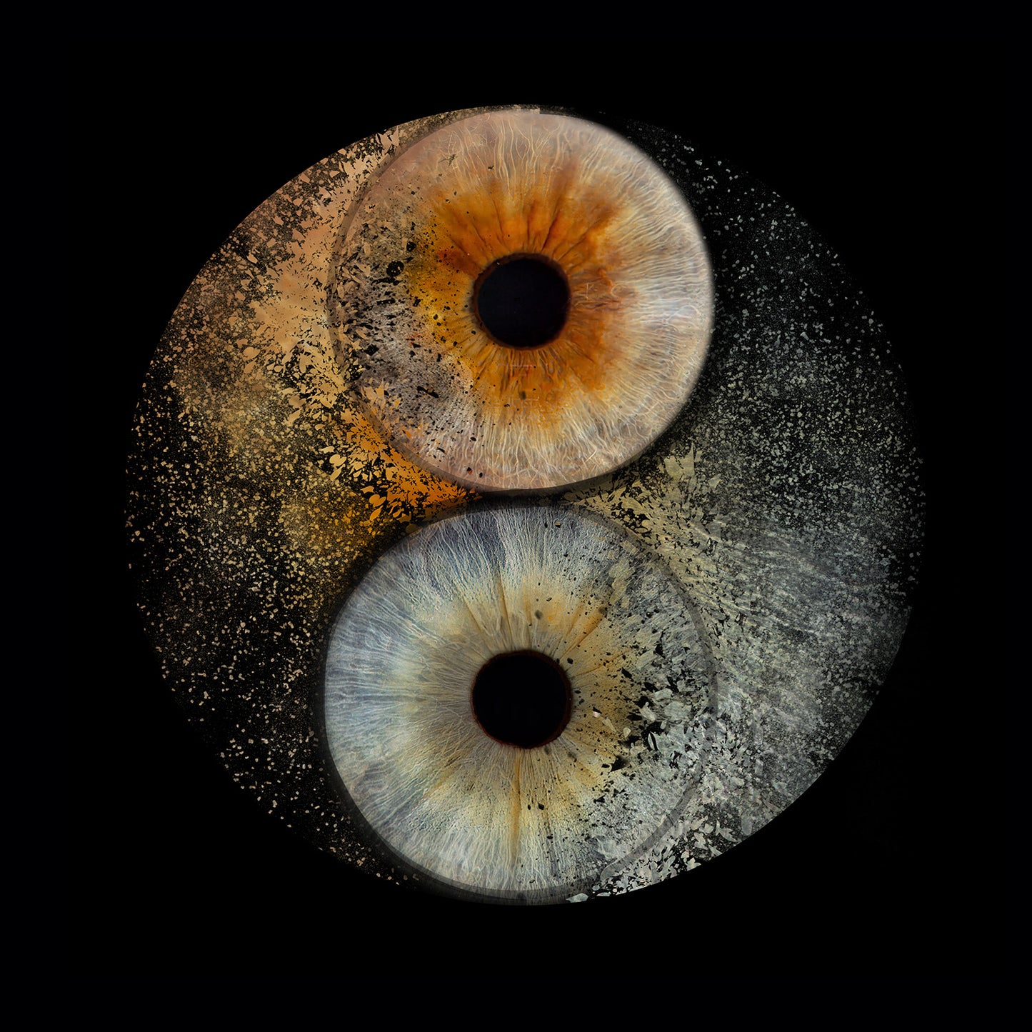 10 x 10 inch - Iris Photographic Prints