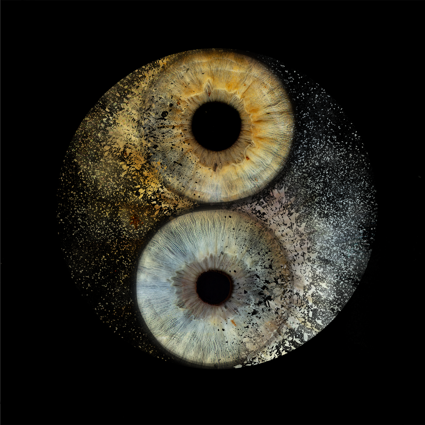 Metallic Round Iris Wall Art