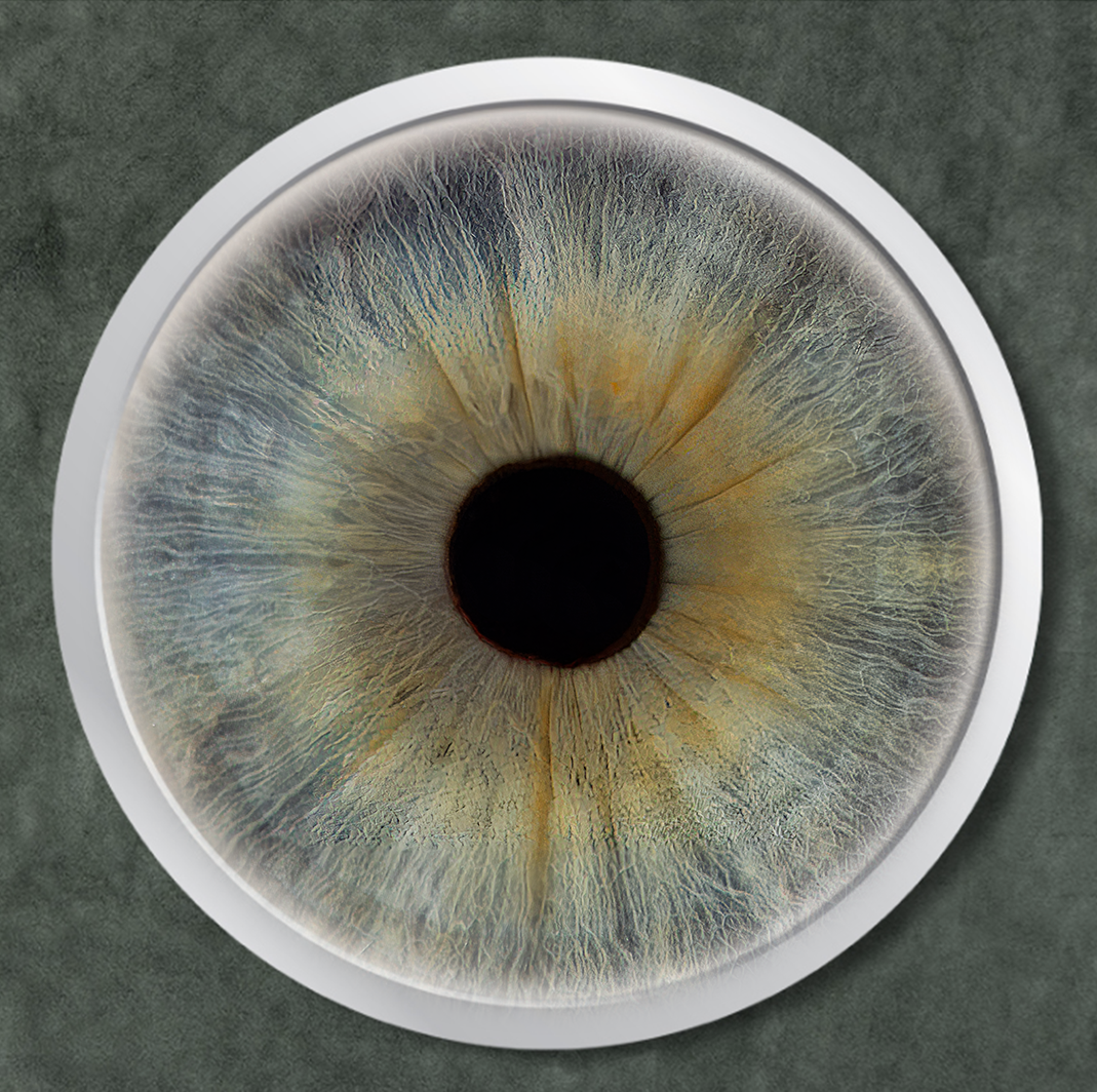 Framed Acrylic Sphere Iris Wall Art
